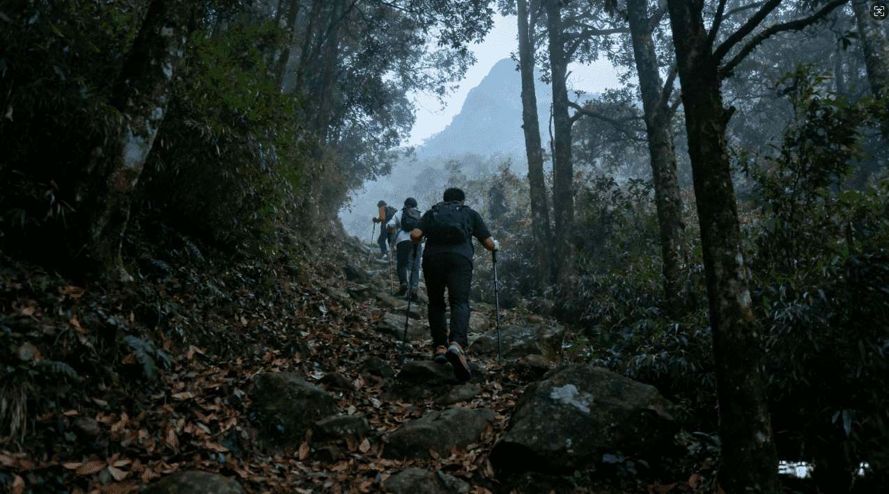 暴喵加速器可能引发的法律和安全问题探讨